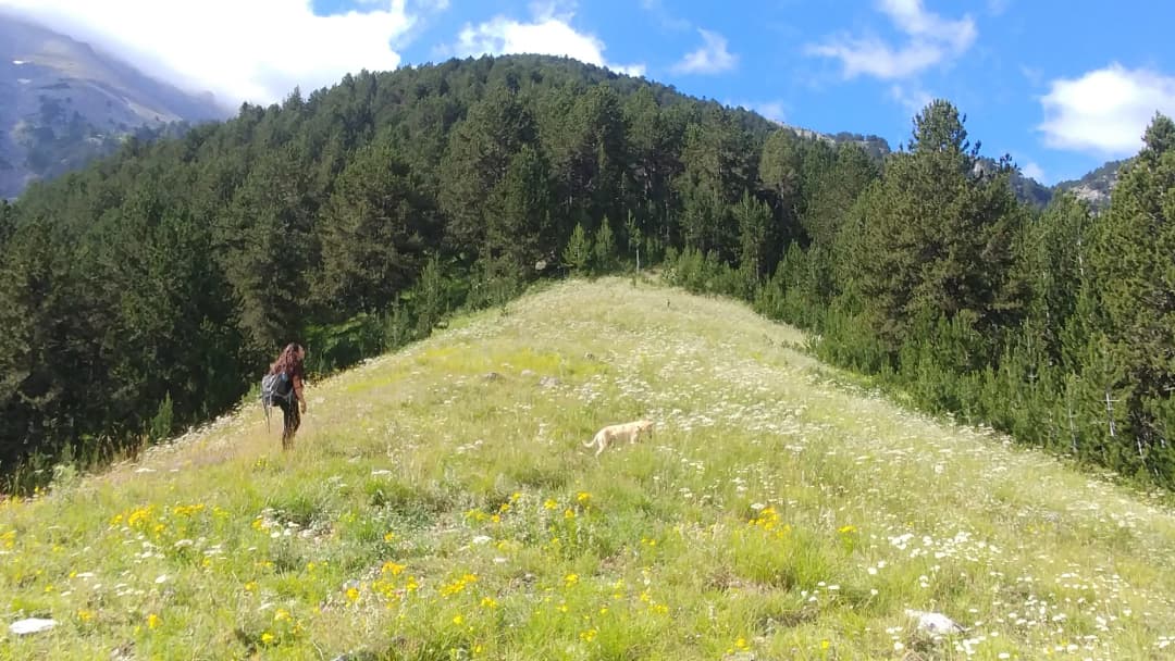 Elizabeth on the mountain