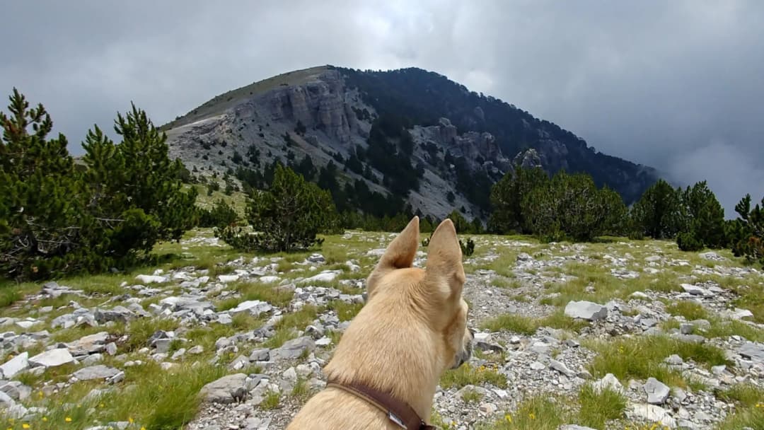 Ruby on the mountain