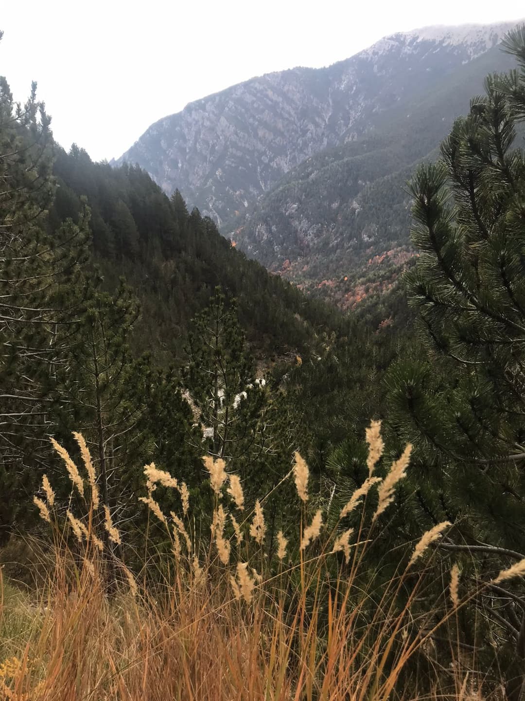 Mt Olympus October 2025 - Image 1