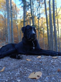 Mt Olympus October 2025 - Image 7