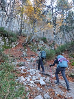 Mt Olympus October 2025 - Image 17