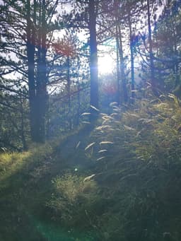 Mt Olympus October 2025 - Image 18