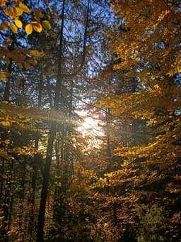 Mt Olympus October 2025 - Image 21