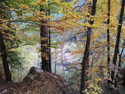 Mt Olympus October 2025 - Image 28