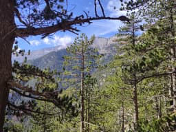 Mt Olympus October 2025 - Image 33