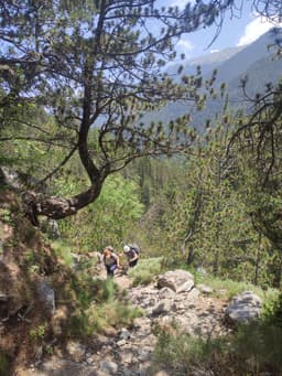 Mt Olympus June 2025 - Image 1