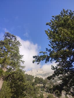 Mt Olympus June 2025 - Image 6