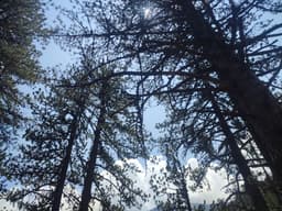 Mt Olympus June 2025 - Image 14