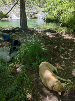 Mt Olympus June 2025 - Image 20