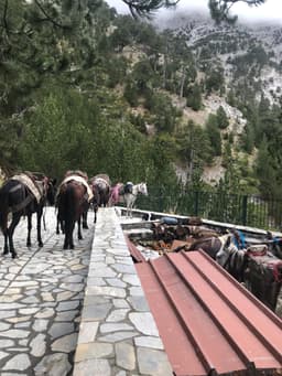 Mt Olympus October 2024 - Image 3