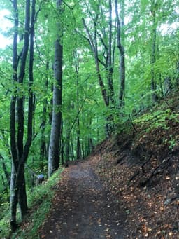 Mt Olympus October 2024 - Image 5