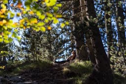 Mt Olympus October 2024 - Image 7