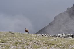 Mt Olympus May 2024 Day 3 - 05