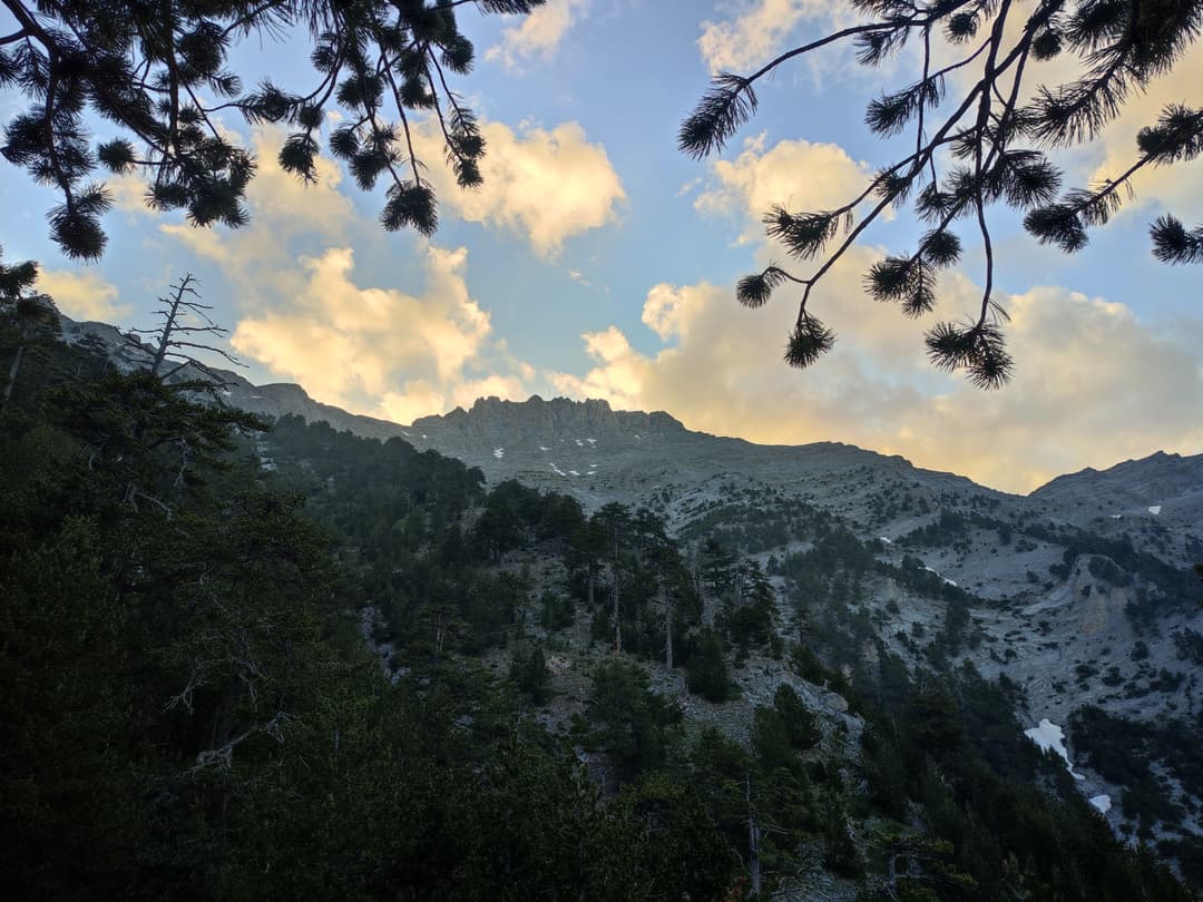 2026 - Dates and location to be decided